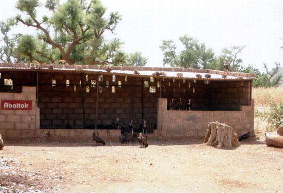 © Stichting Kinderhulp Burkina Faso